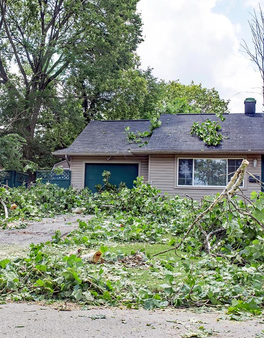trash-dumpster-near-me