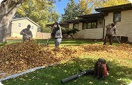 Greenfield Yard Landscaping